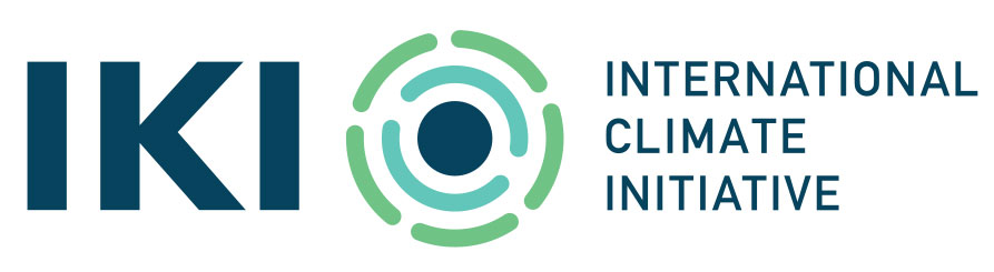 giz logo